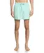 Quiksilver Everyday Volley 15 Beach Glass - M