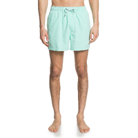 Quiksilver Everyday Volley 15 Beach Glass