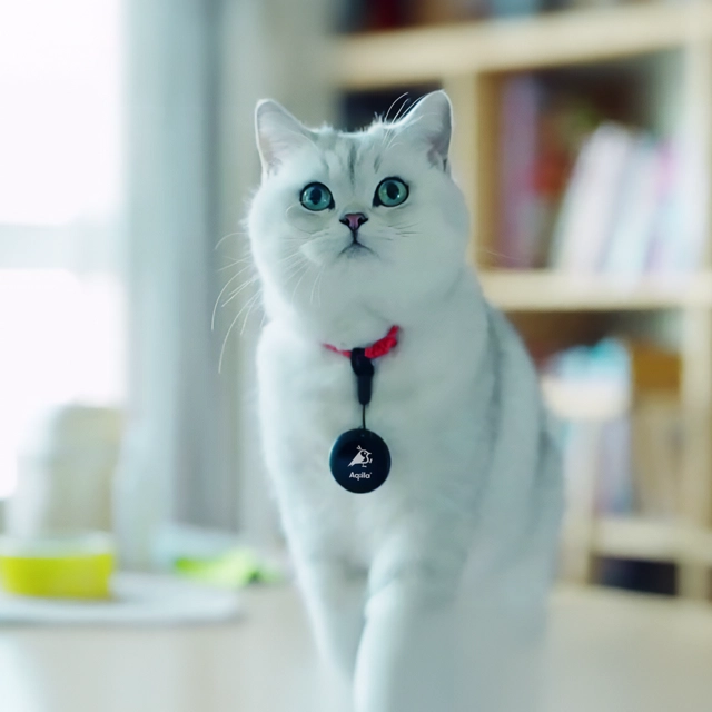 Aqiila Tagbird Mounting Bracket 