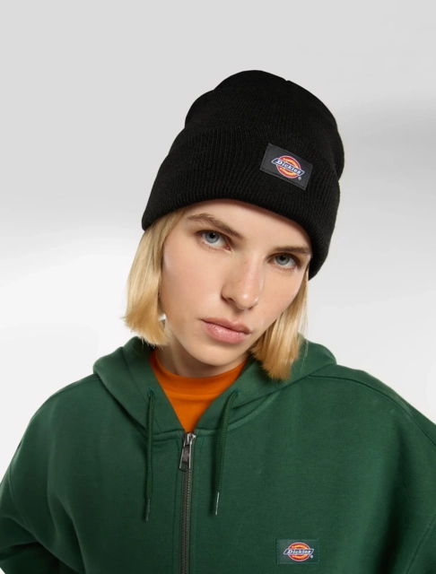 Dickies Gibsland Beanie Black 