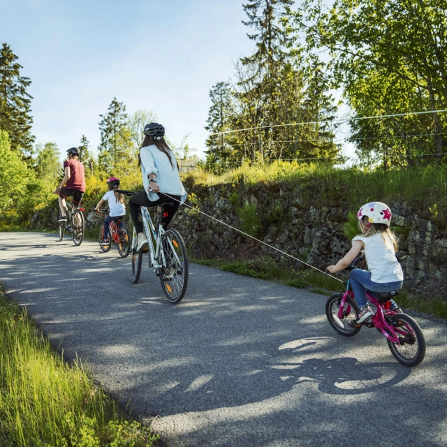 Kidreel Drakassett Blue 