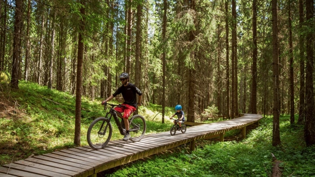 Kidreel Drakassett Blue 