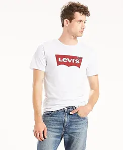 Levis Graphic Set-In SS Tee White