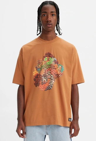 Levis Skate Graphic Box SS Tee Bask #1 Multicolour