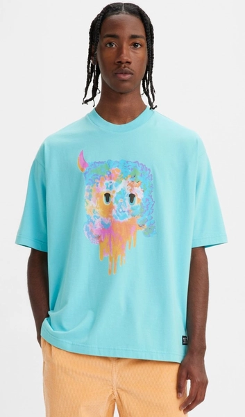 Levis Skate Graphic Box SS Tee Bask #2 Multicolour