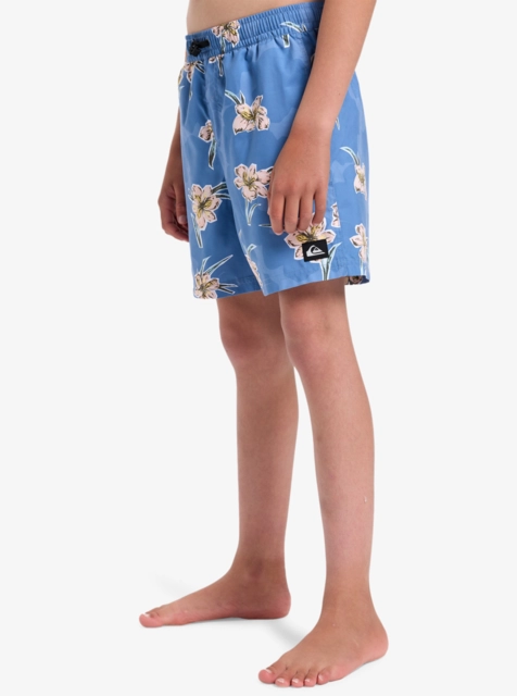 Quiksilver Everyday Straight Volley Y 14 Backyards Coronet Blue - M/12år 