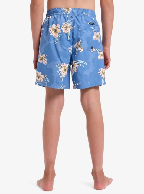 Quiksilver Everyday Straight Volley Y 14 Backyards Coronet Blue - M/12år 