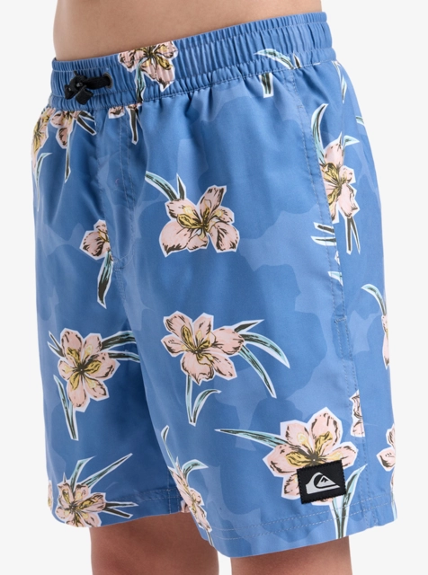 Quiksilver Everyday Straight Volley Y 14 Backyards Coronet Blue - M/12år 