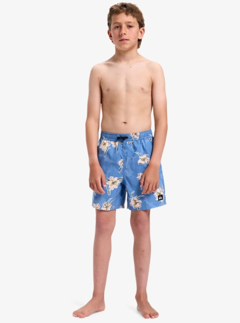 Quiksilver Everyday Straight Volley Y 14 Backyards Coronet Blue - M/12år 