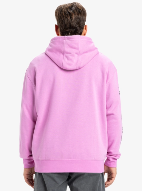 Quiksilver Omni Logo Hoodie Violet - S 