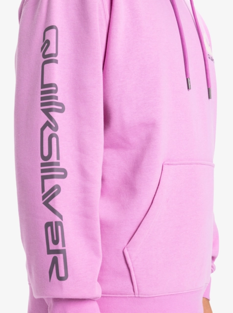 Quiksilver Omni Logo Hoodie Violet - S 