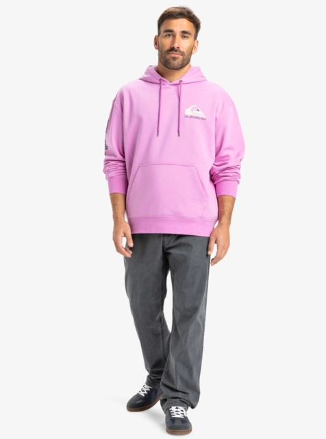 Quiksilver Omni Logo Hoodie Violet - S 