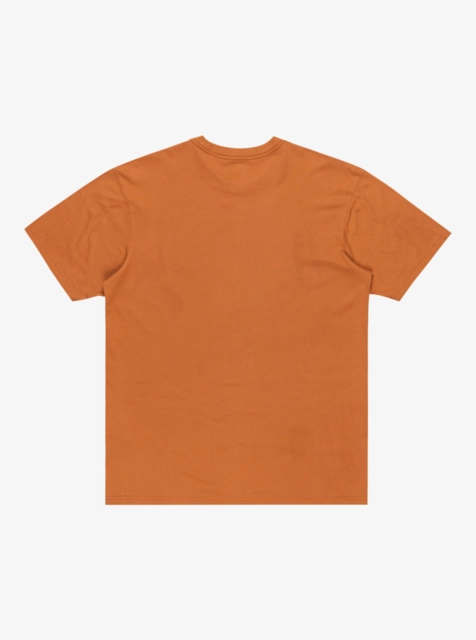 Quiksilver Salt Water SS Tee Bran - L 