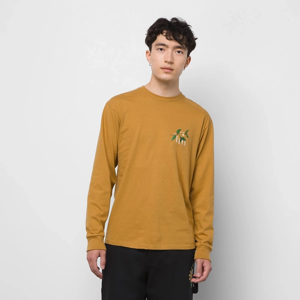 Vans Greener Grounds LS Tee Bone Brown