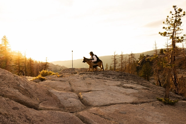 GoPro Tripod + Ball Head 