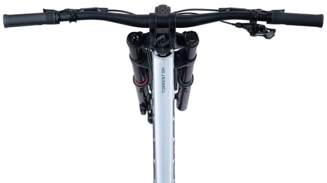 Norco Torrent DH SZ1 29"/27,5", Raw Alloy 