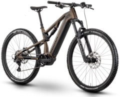 Raymon Trailray 120 Pro M 29&quot;, tenmoku/black/green, PW-S2, 800Wh