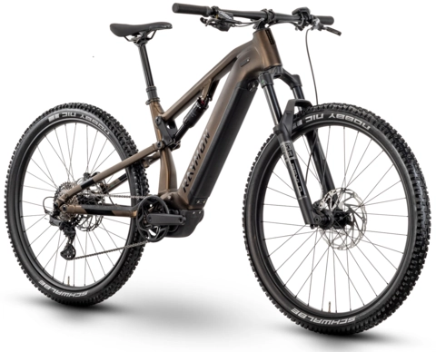 Raymon Trailray 120 Pro 29&quot;, tenmoku/black/green, PW-S2, 800Wh