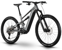 Raymon Ravor Comp L 29"/27.5", Silver Marble, YX4L, 840Wh