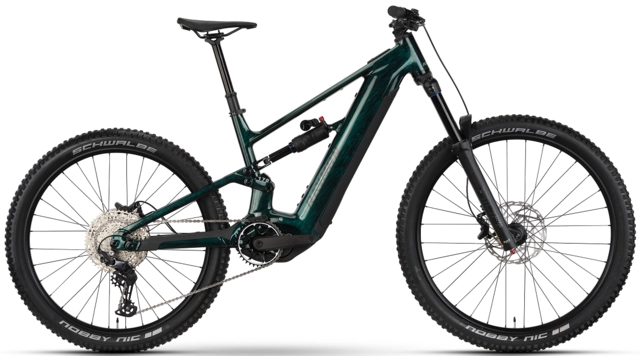 Raymon Ravor LT Comp L 29"/27.5", Jadegreen, YX4L, 840Wh 