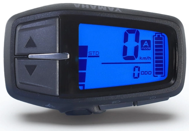 Yamaha Display Type A2 Raymon 